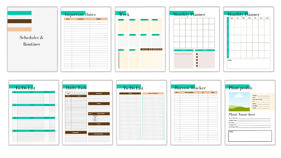 CANVA TEMPLATE TOOLKIT: BRILLIANT
