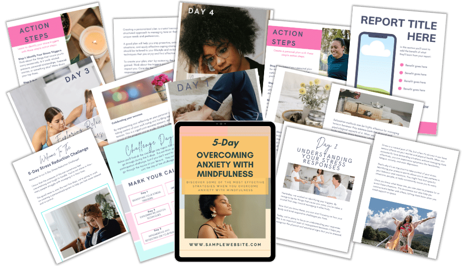 DFY Bundle: Stress Reduction Triple Pack