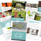 Done-For-You Blog Series & Marketing Kit: Infused Water For Better Health