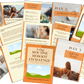 ADD-ON Reboot Your Routine Enhanced Canva Challenge